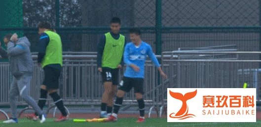 陶强龙致歉：我以为那个角旗杆是有弹性的 给广大球迷道歉