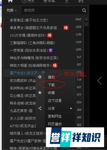 pps如何下载视频