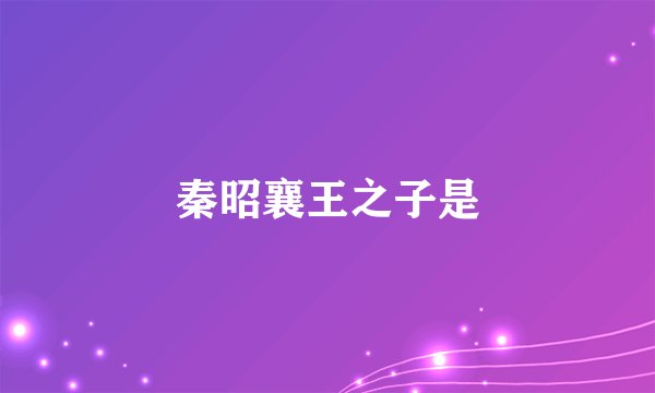 秦昭襄王之子是