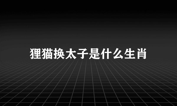 狸猫换太子是什么生肖