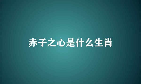赤子之心是什么生肖