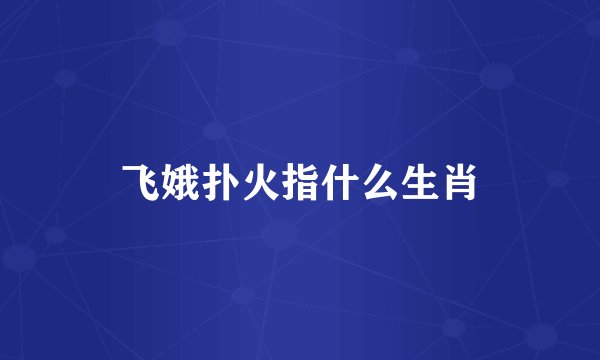 飞娥扑火指什么生肖