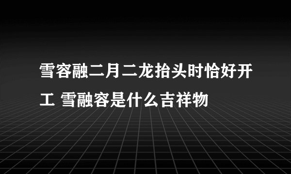雪容融二月二龙抬头时恰好开工 雪融容是什么吉祥物