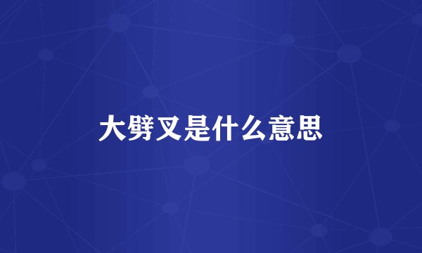 大劈叉是什么意思
