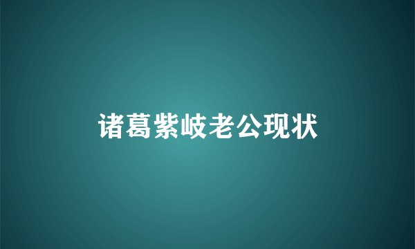 诸葛紫岐老公现状