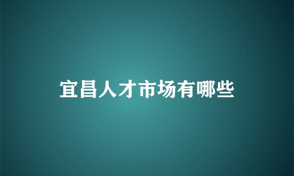 宜昌人才市场有哪些