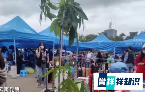 大一女生带2米高盆栽入学，老生：帮学妹搬行李，很考验体力