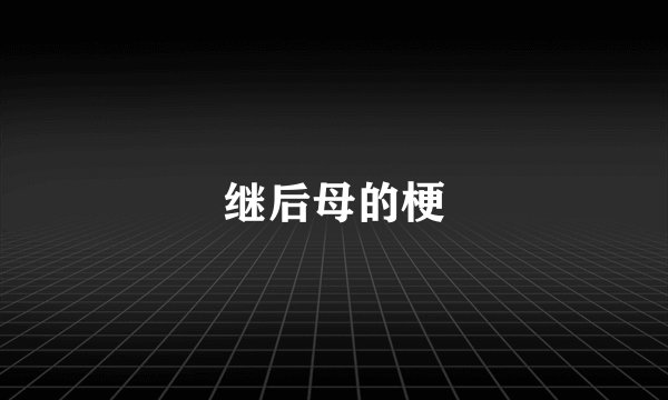继后母的梗
