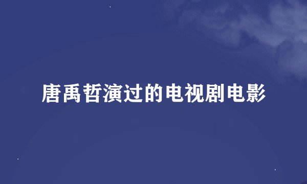 唐禹哲演过的电视剧电影