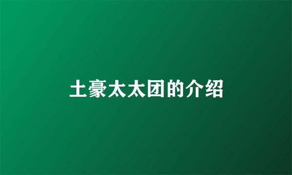 土豪太太团的介绍