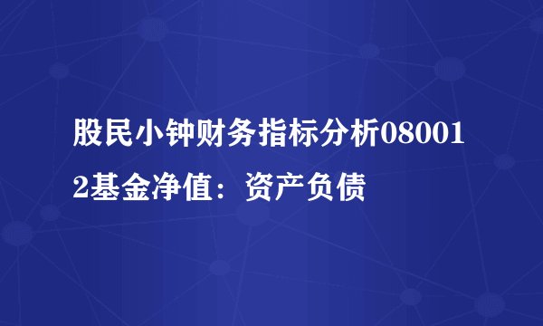 股民小钟财务指标分析080012基金净值：资产负债