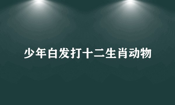 少年白发打十二生肖动物