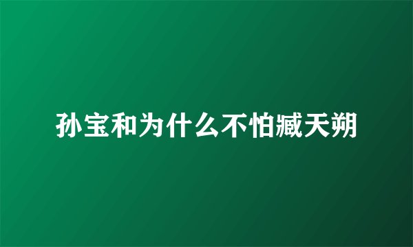 孙宝和为什么不怕臧天朔