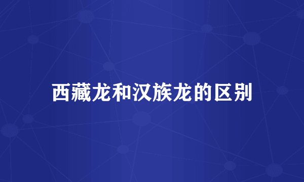 西藏龙和汉族龙的区别