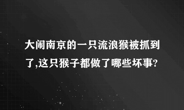 大闹南京的一只流浪猴被抓到了,这只猴子都做了哪些坏事?