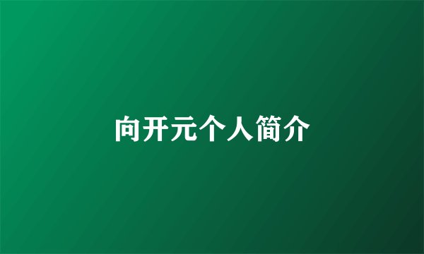 向开元个人简介