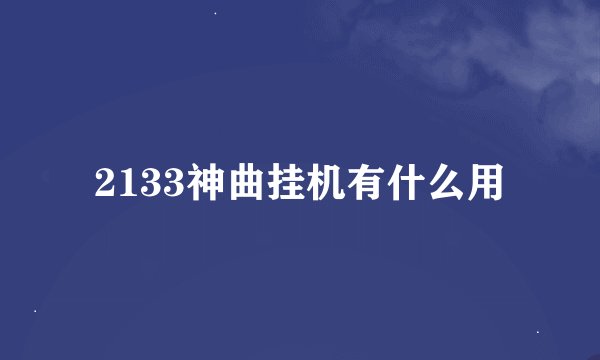 2133神曲挂机有什么用