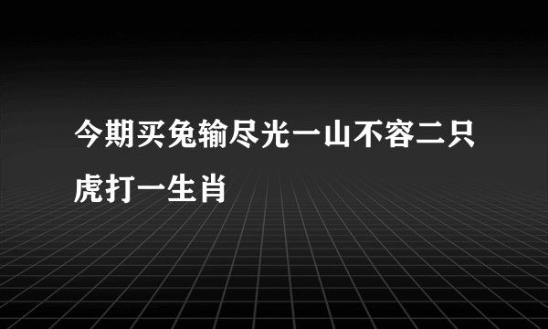 今期买兔输尽光一山不容二只虎打一生肖