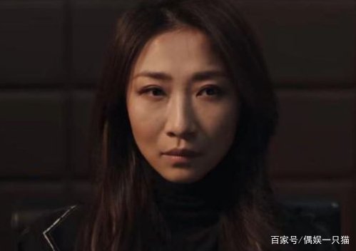 孙红雷推荐老婆演《扫黑风暴》，两人分属正反两派，他为何让妻子演反派？