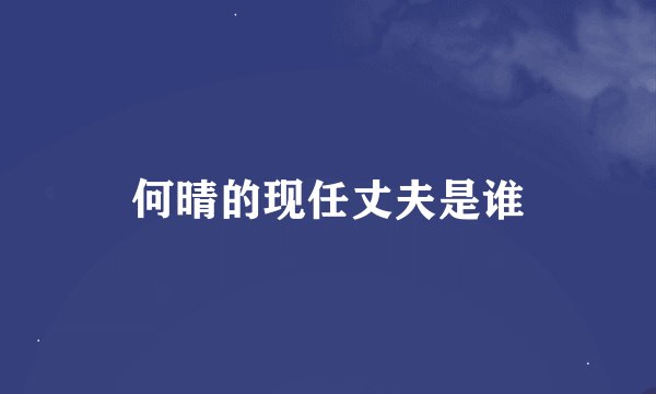 何晴的现任丈夫是谁