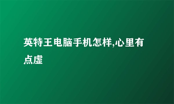 英特王电脑手机怎样,心里有点虚