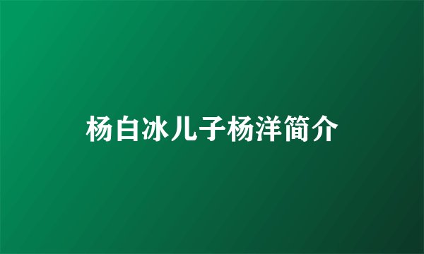 杨白冰儿子杨洋简介