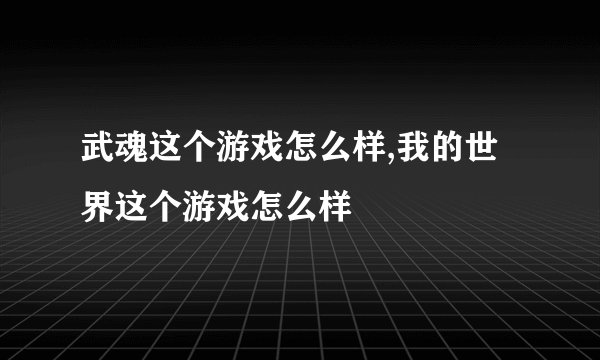 武魂这个游戏怎么样,我的世界这个游戏怎么样