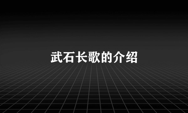 武石长歌的介绍