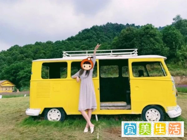四川一窝蛇晒太阳，成了网红每天被数百人围观，为何蛇也晒太阳？