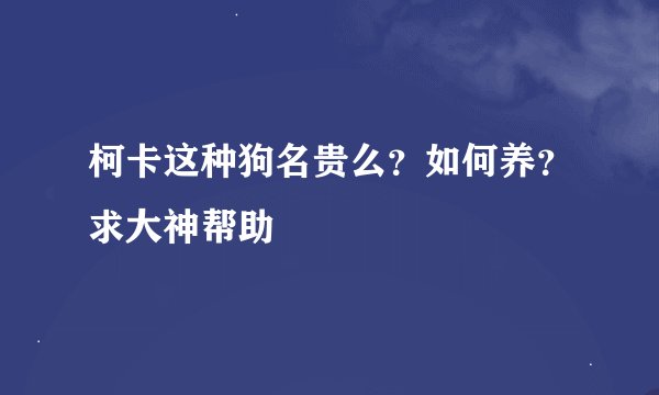 柯卡这种狗名贵么？如何养？求大神帮助