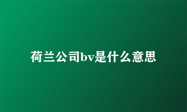荷兰公司bv是什么意思