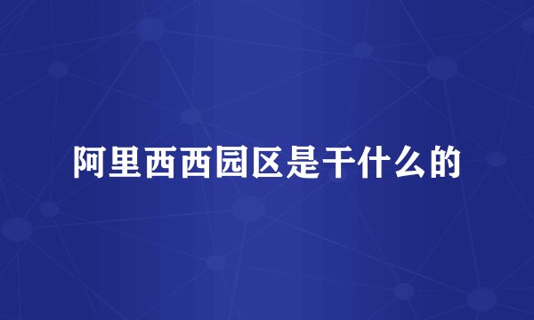 阿里西西园区是干什么的