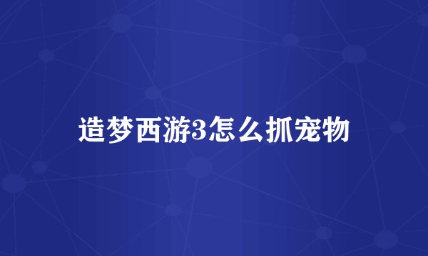 造梦西游3怎么抓宠物