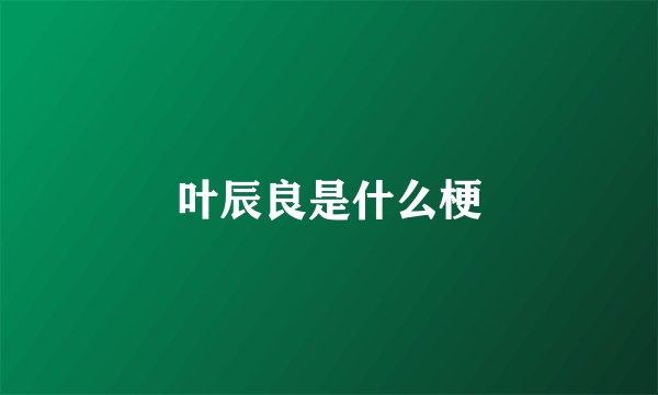 叶辰良是什么梗