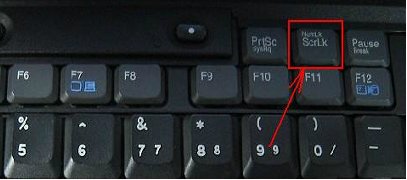 笔记本电脑怎么输入数字？