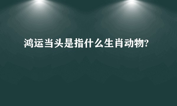 鸿运当头是指什么生肖动物?