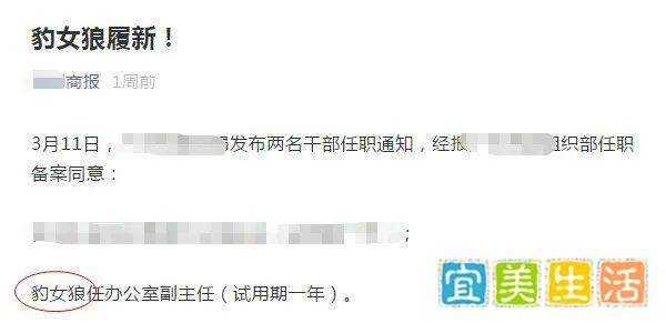 起名故事 | 看起来像假名字的名字