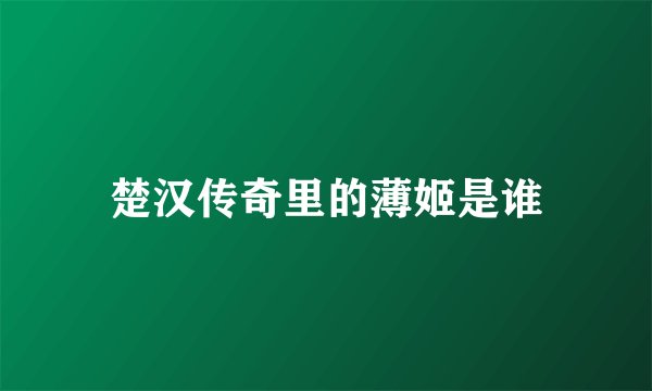 楚汉传奇里的薄姬是谁