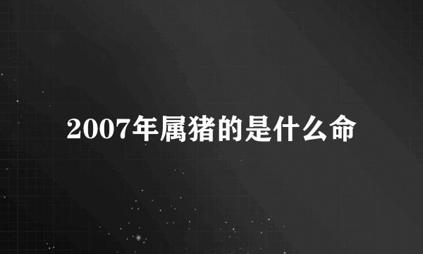 2007年属猪的是什么命