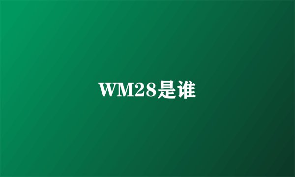WM28是谁