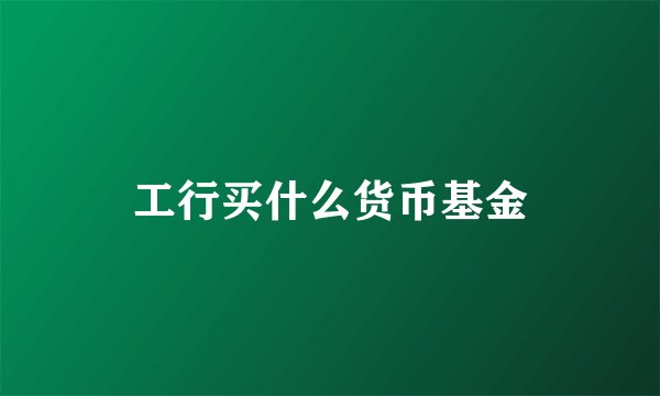 工行买什么货币基金