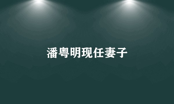 潘粤明现任妻子