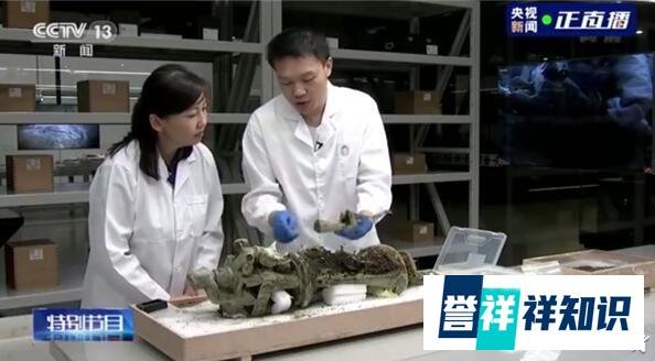三星堆出土青铜小立人翘着兰花指 这是咋情况？