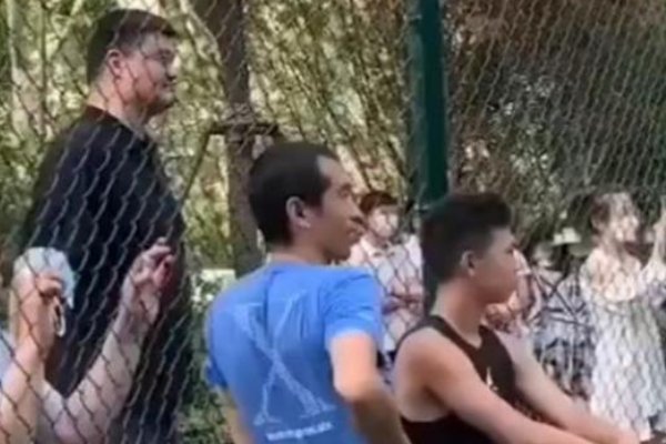 姚明野球场当观众，看女儿打篮球多欣慰？