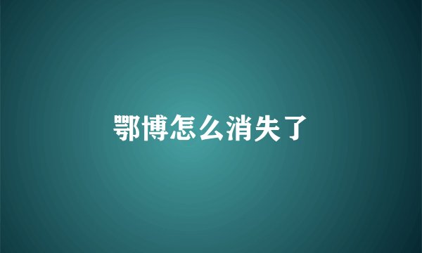 鄂博怎么消失了