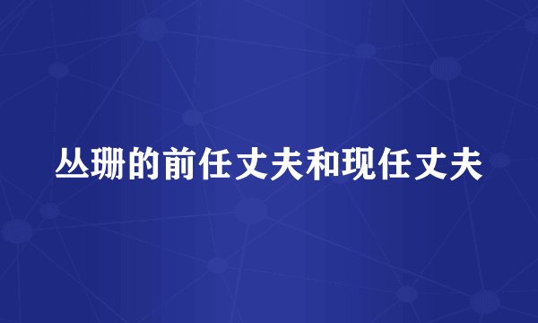 丛珊的前任丈夫和现任丈夫