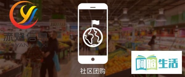 小许到家、妙美邻、蝌蚪社区店，遍地开花的石家庄团购市场