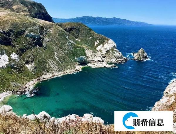 “什么是快乐星球” 到底是个啥梗？据说朋友圈有一半人来自那里……