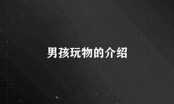 男孩玩物的介绍