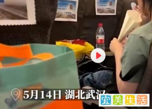 女子武汉坐高铁满车人都在啃鸭脖，女子不能喝酒被安排和狗一桌